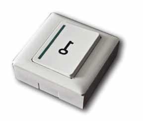 Bouton poussoir sailli NO/NF , boitier ABS avec symbole clé