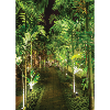 spot piquet 30 watts + filtres couleurs