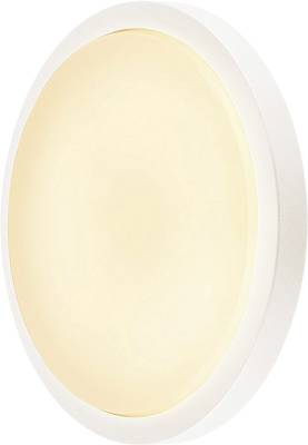 AINOS, applique et plafonnier extérieur, blanc, LED, 21W, 3000K, IP4