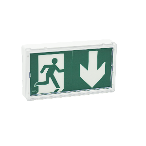 BAES LUMIO Evacuation ETANCHE LED 45 lm/1h/0.9W 1.1VA  IP65 IK08/SATI