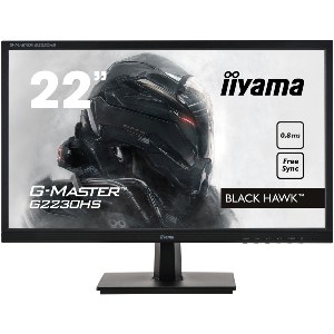 MONITEUR LCD 22" FULL HD dalle TN 16/9 0.8ms HP VGA/Display/HDMI